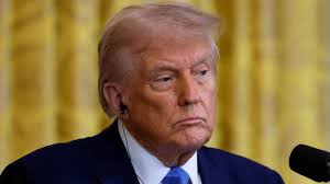 How will Trump's proposed "gold card" for immigration work?