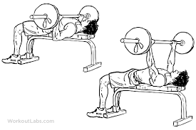 Barbell Bench Press Chest Press Workoutlabs Exercise Guide