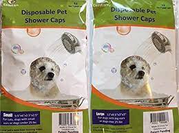 Pin On Dogs Grooming