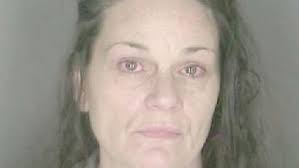 Otsego Co. woman arrested as fugitive from justice out of Florida