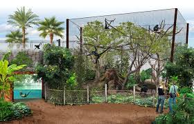 Christopher Barela Concept Art Zoo Architecture Zoo Project Concept Art