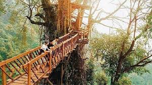 Perkembangan daerah wisata di bogor pun cukup dinamis. 15 Trend Terbaru Tempat Wisata Ciampea Bogor Cakrawala