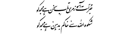 Allama Iqbal Poetry کلام علامہ محمد اقبال: (Bang-e-Dra-105) Shikwa ...