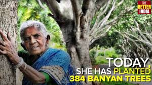 Saalumarada Thimmakka Mother To 384 Banyan Trees Youtube