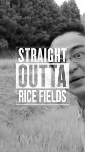 Filthy frank made parodies of lady gaga, starring me, his friends, jeffy from sml and sonichu. Filthy Frank Straight Outta Rice Fields Filthy Frank Wallpaper Funny Memes Filthy