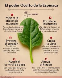 La #Espinaca es alta en #Fibra que nos ayuda a mejorar el tránsito  intestinal y nos proporciona mayor sensación de saciedad, además contiene  hierro, magnesio y ácido fólico. ¡Consúmela! #Alimentación
