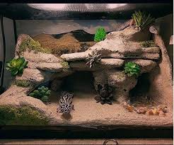 Gecko Terrarium Gecko Terrarium Leopard Gecko Diy Leopard Gecko Terrarium