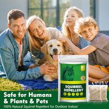 Amazon.com : Extra-Strength Squirrel Repellent, Peppermint Squirrel and  Chipmunk Repellent Outdoor for Bird Feeders Attic, Chipmunk Deterrent  Outdoor, Keep Rodents Out of Car Engines Garden (10 P) : Patio, Lawn &  Garden