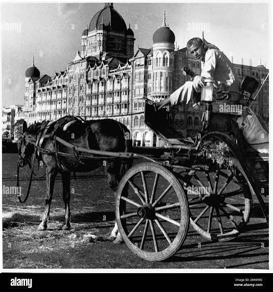 Horse cart mumbai india hi-res stock photography and images - Alamy