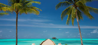 🔥 Atmosphere Kanifushi Maldives | Erfahrungen & Preise 2023 » Buchen!