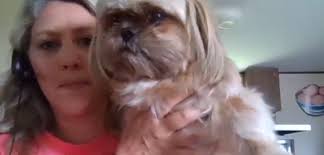 I want the dogs gone:' Several dogs quarantined in Murray County after  woman injured