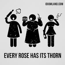 In addition to being a symbol of love , the rose is also symbolic carrier of secrets or tacit understanding. Idiom Land A Twitter Hello Our Idiom Of The Day Is Every Rose Has Its Thorn Which Means That Nobody Is Perfect And Every Person Is Riddled With Flaws Even A Flower