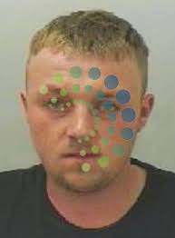 Rapist jailed for sex attack