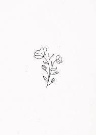 Flower Illustration Line Art Tattoos Flower Illustration Aesthetic Drawing