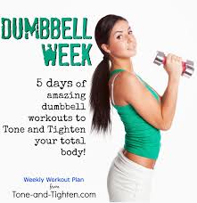 weekly workout plan 5 days of