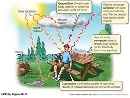 Conduction Evaporation Convection Radiation Earth Science Teacher Heat Transfer Science Earth And Space Science