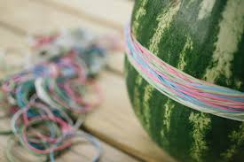 He put rubber bands around the middle of the fruit one after another until it exploded in his face scattering the pulp all over. Make A Watermelon Explode With Rubber Bands Maurine Dashney