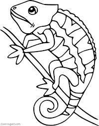 The chameleon panther (furcifer pardalis) is a saurian native of madagascar, the family of chamaeleonidae, found in reunion island under the name of put to sleep. Panther Chameleon Coloring Page Coloringall