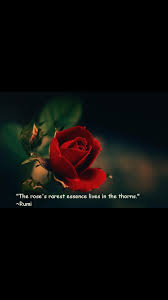 Pin By Rosemarie Zarrillo On Roses Rumi Quotes Rumi Love Quotes Rumi Love