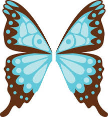We did not find results for: Butterfly Wings Isolated Vector Illustration Clipart Image
