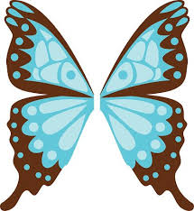 We did not find results for: Butterfly Wings Isolated Vector Illustration Clipart Image