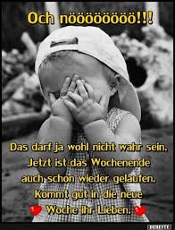 Och Noooooooo Lustige Bilder Spruche Witze Echt Lustig Lustige Bilder Montagsbilder Lustig Witze