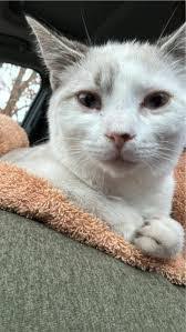 Gail Romeo's Instagram, Twitter & Facebook