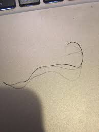 What Did I Just Pull Out Of My Beard Thick Hard And Wiry Hair Beauty Skin Deals Me Fashion Love Cute Style Wome Hair And Beard Styles Beard Pull Out