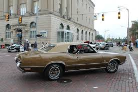 Image result for Brown 1972 Fleet
