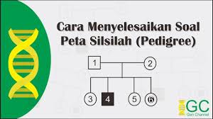 Soal essay tentang pewarisan sifat. Tips Genetika Monohibrid Youtube