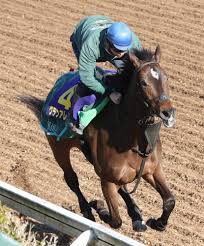 #35 trending now • 27.8k tweets • explore '高松宮記念' and other trends in 400+ locations worldwide. é«˜æ¾å®®è¨˜å¿µ ã‚°ãƒ©ãƒ³ã‚¢ãƒ¬ã‚°ãƒªã‚¢ å‚è·¯é¦¬ãªã‚Šå¥½æ™‚è¨ˆ ã‚¹ãƒãƒ‹ãƒ Sponichi Annex ã‚®ãƒ£ãƒ³ãƒ–ãƒ«