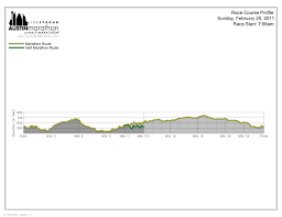 Austin Marathon Elevation Chart Joe Runs For Dom