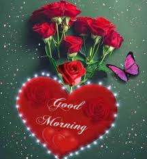 Pin By Aditi Kumari On Good Morning Photos Good Morning Roses Good Morning Flowers Rose Good Morning Flowers