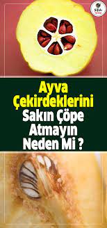 Ayva Cekirdeklerini Sakin Cope Atmayin Neden Mi Dogal Saglik Cilt Bakimi Dogal Guzellik Ipuclari