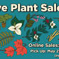 Venta de plantas nativas de primavera