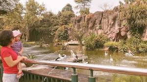 Selain itu, tempat wisata ini pun telah membekali diri dengan protokol chse. 4 Tempat Wisata Di Jakarta Yang Buka Saat Psbb Transisi Jumlah Pengunjung Bakal Dibatasi Tribun Travel