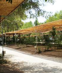 Check spelling or type a new query. Club Agia Anna