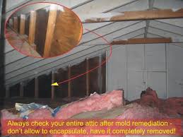 The house was built in 1938 and we had lived here 12 years prior to the roof installation and had never had a mold issue in the attic. How To Get Rid Of Mold In Your Attic Kill Stubborn Mold Checkthishouse