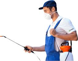 Looking for pest control, termites control or bed bugs control? Pest Control Nowra South Coast Affordable Pest Control