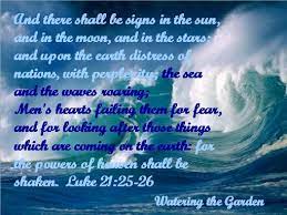 The prophecies contained in the book of revelation are key end time revelations which we must prepare ourselves for, as the end time is happening now. Signs Of End Times End Times Prophecy Bible Prophecy Jesus Bible