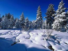 Imagini de iarna, imagini desktop, peisaje de iarna. Poze Iarna Cu Zapada Imagini Desktop De Iarna Wallpaper 1 Poze Iarna Craciun Sirenele123456