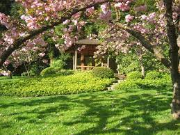 Seattle Parks Recreation Japanese Garden Japanese Garden Public Garden Botanical Gardens