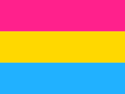 Trouxe relatos de algumas pessoas não binárias além de mim. bigênero: Significado De Pansexual O Que E Conceito E Definicao Significados