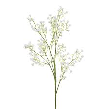 We did not find results for: Gypsophila Baby S Breath Spray White 62cmh