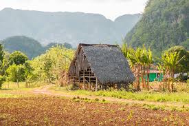 If you're looking to make your trip to cuba unforgettable a stay in viñales and the surrounding area is a necessity. Valle De Vinales A Cuban Gem Breathe With Us