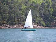 Résultat de recherche d'images pour "cat boat"