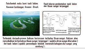 Konsep / definisi ekosistem tasik juga dikenali ekosistem lentus eksosistem tasik merujuk kepada ekosistem air yang ti. Blog Cgdeen Kuala Rompin