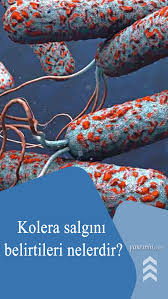 Kolera Salgini Nedir Kolera Salgini Ne Zaman Basladi Kolera Salgini Belirtileri Nelerdir Japonya Pekin Olum