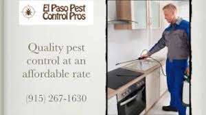 Pest control services request from carlos quinones. Pest Control In El Paso Tx