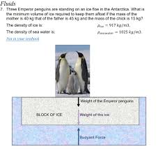 They are similar in appearance as far as head coloring. Solved Fluids 7 Three Emperor Penguins Are Standing On A Chegg Com